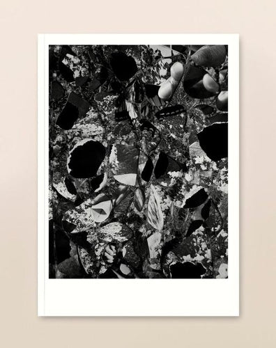 The White Review No.28