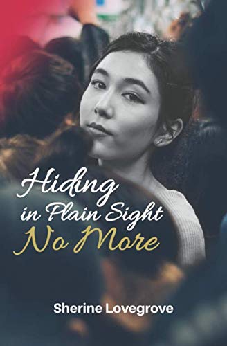 Hiding In Plain Sight: No More