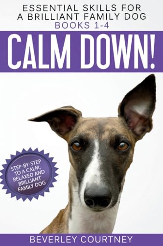 Essential Skills for a Brilliant Family Dog