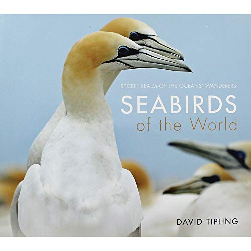 Seabirds of the World