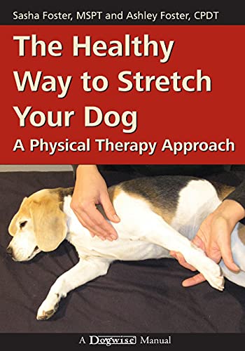 The Healthy Way to Stretch Your Dog