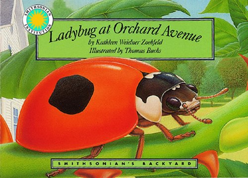 Ladybug at Orchard Avenue