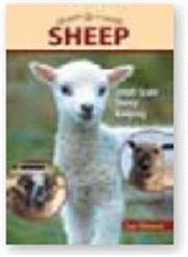 Sheep