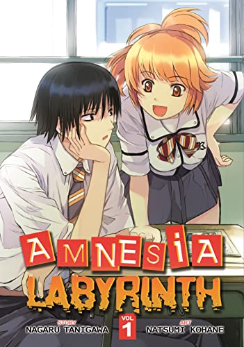 Amnesia Labyrinth