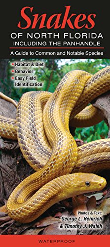 Snakes of Northern Florida Including the Panhandle