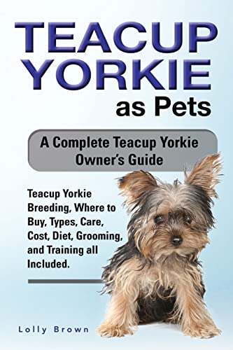 Teacup Yorkie as Pets