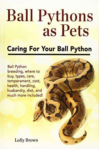 Ball Pythons as Pets