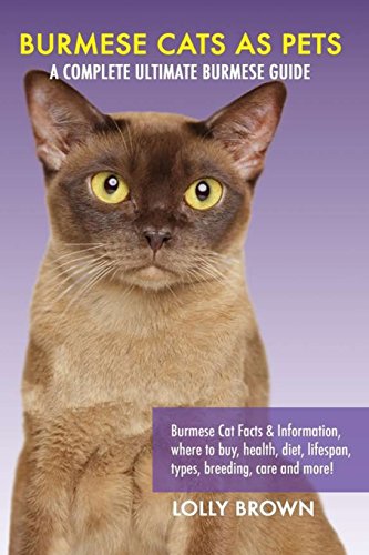 Burmese Cats as Pets