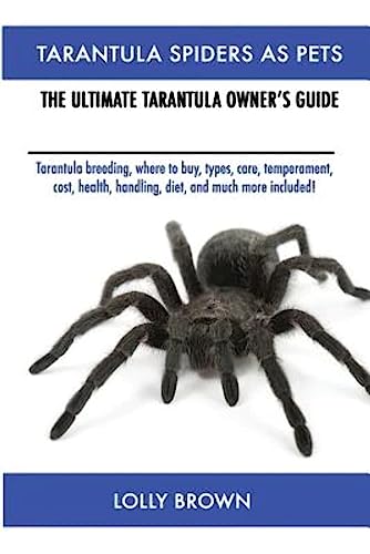 Tarantula Spiders As Pets