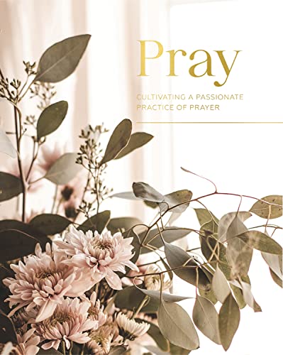 Pray: Cultivating a Passionate Practice of Prayer