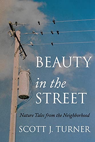 Beauty in the Street