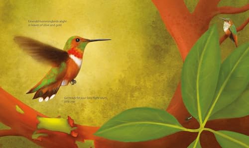 This Old Madrone Tree