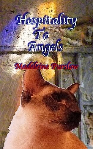Hospitality To Angels