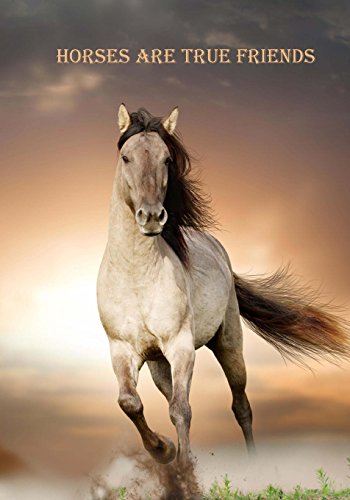 Horses Are True Friends
