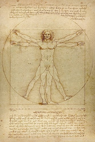 Leonardo da Vinci Notebooks - The Vitruvian Man