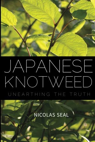 Japanese Knotweed