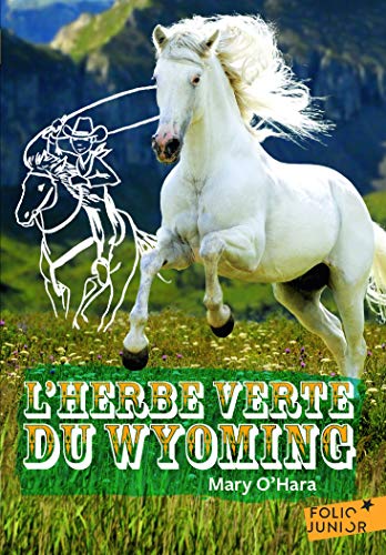 Herbe Verte Du Wyoming