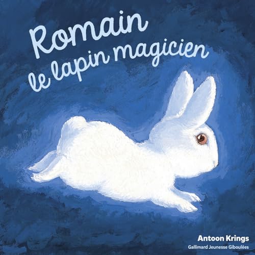 Les Drôles de Petites Bêtes - Romain le lapin magicien