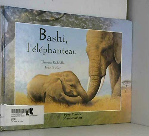 Bashi, l'elephanteau
