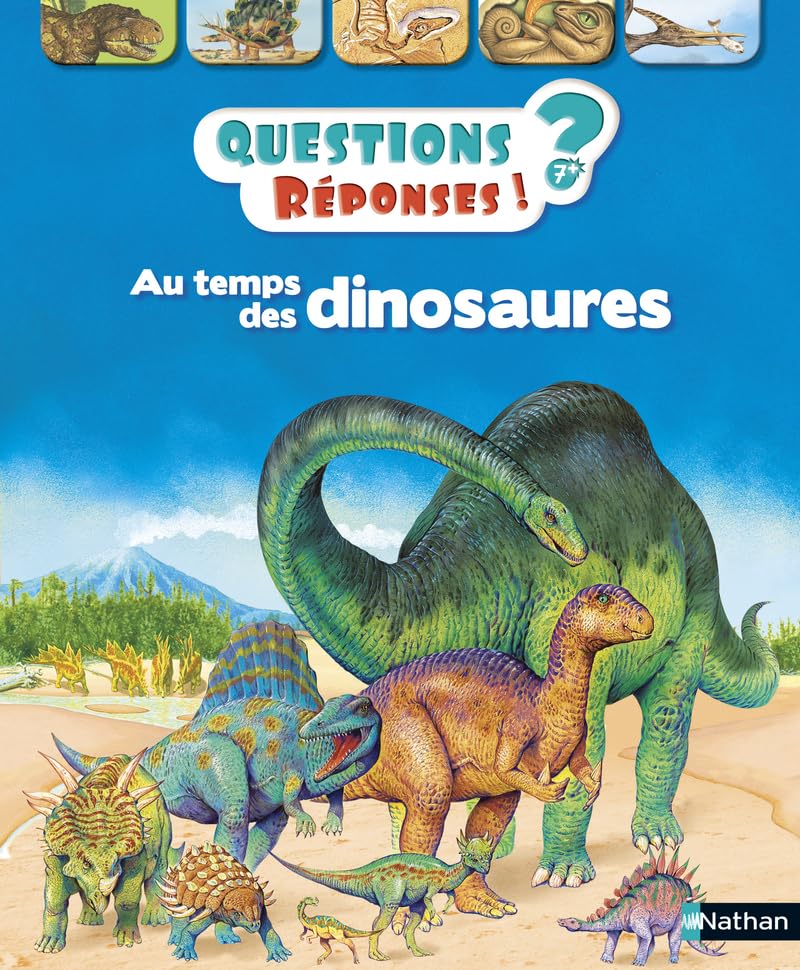 Questions reponses/Au temps des dinosaures