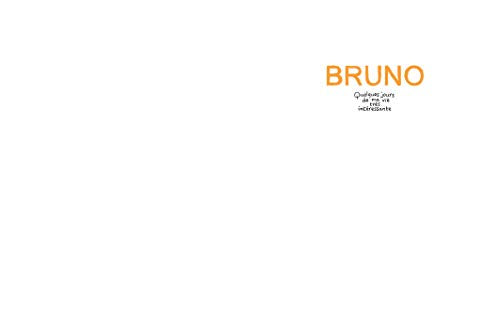bruno quelques jours de ma vie tres interessante: Quelques jours de ma vie très intéressante