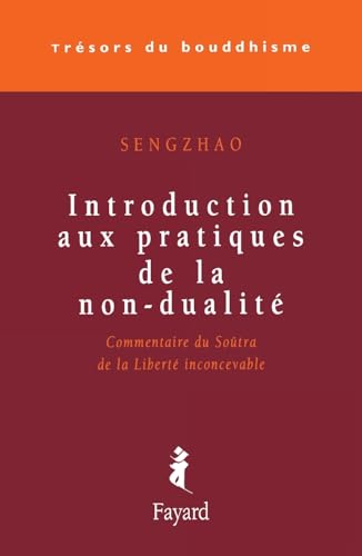 Introduction aux pratiques de la non-dualité
