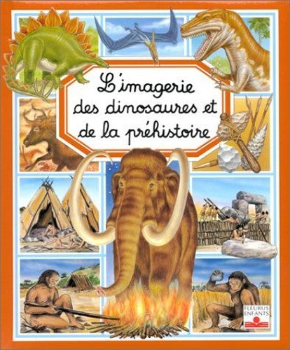 DINOSAURES ET DE LA PREHISTOIRE