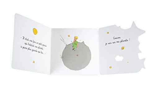 Cache-cache Petit Prince