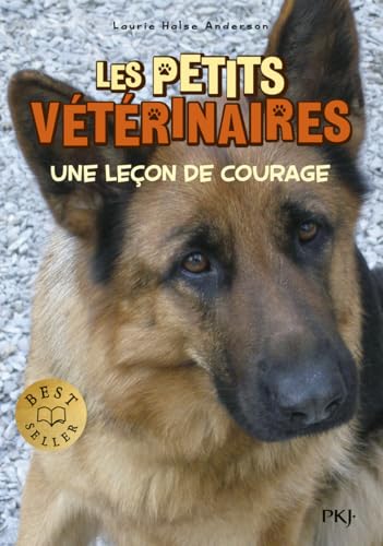 Les petits vétérinaires - Tome 7 Une leçon de courage: 07