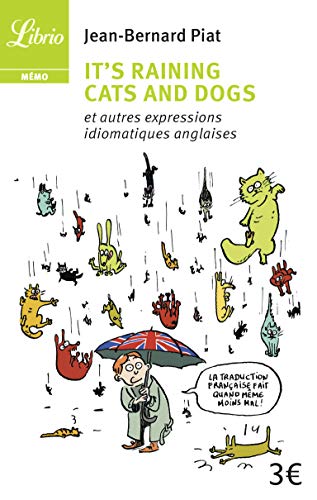 It's raining cats and dogs et autres expressions idiomatiques anglaises