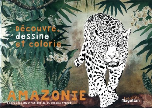 Amazonie - découvre, dessine et colorie les animaux de la forêt amazonienne: Cahier de coloriage