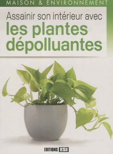 assainir son interieur avec les plantes depolluantes (0)