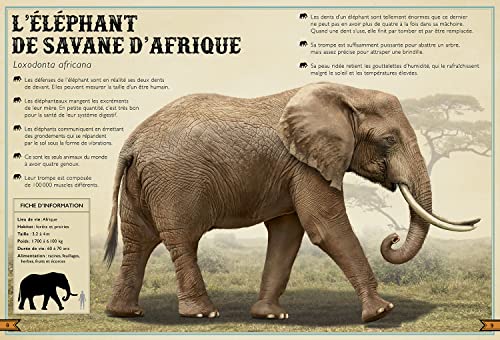 Le Livre extraordinaire des animaux