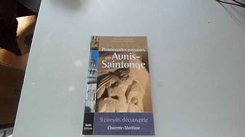 Promenades romanes en aunis-saintonge