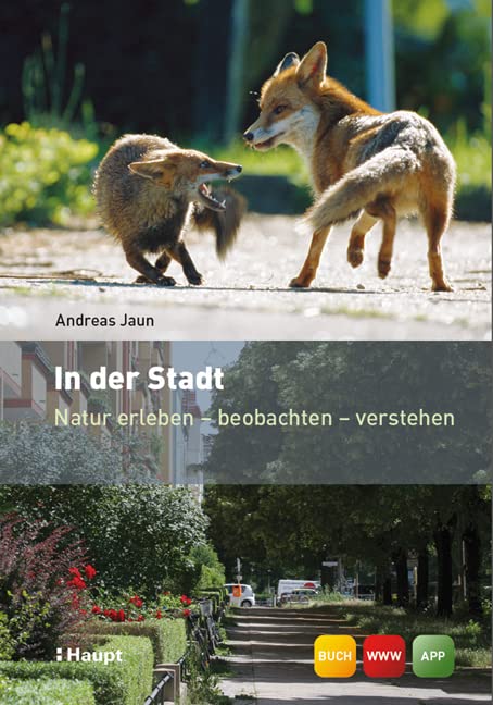 Jaun, A: In der Stadt