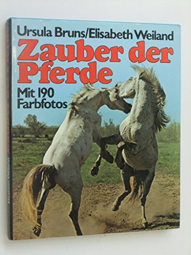 Zauber der Pferde