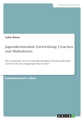 Jugendkriminalität. Entwicklung, Ursachen und Maßnahmen