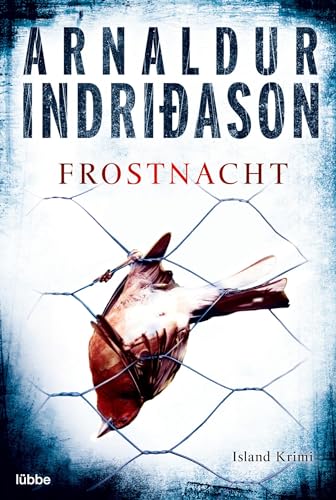 Frostnacht: Island Krimi. Kommissar Erlendur, Fall 7