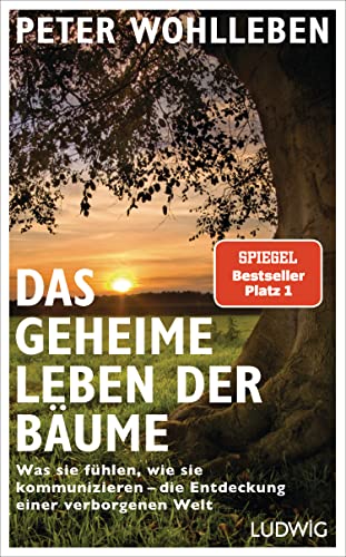 Das geheime Leben der Baume