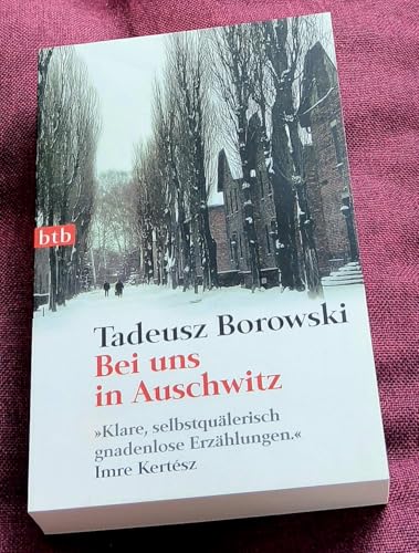 Bei uns in Auschwitz.