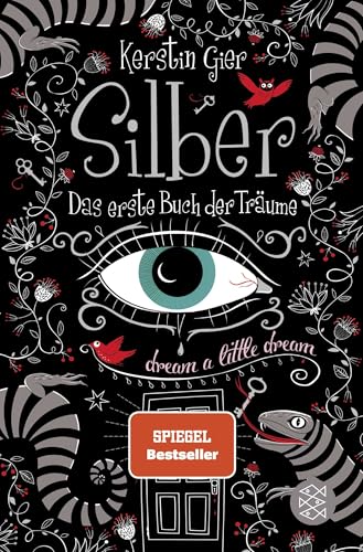 Silber - Das erste Buch der Träume: dream a little dream (Silber-Trilogie)