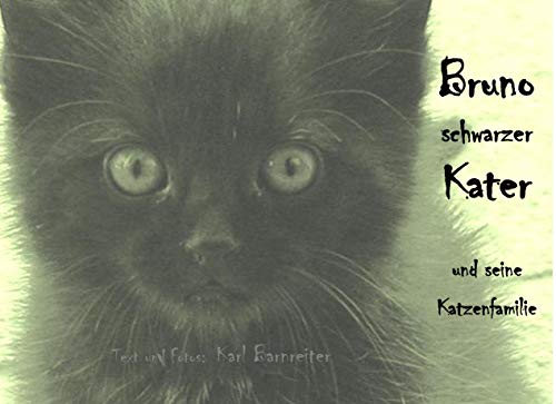 Bruno schwarzer Kater: und seine Katzenfamilie