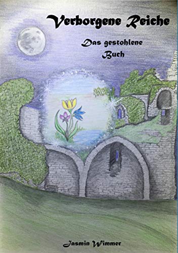 Verborgene Reiche: Das gestohlene Buch
