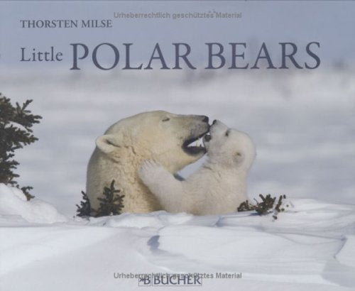 Little Polar Bears