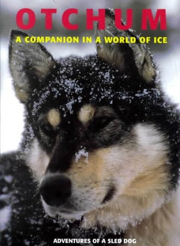 Husky - a Companion in a World of Ice