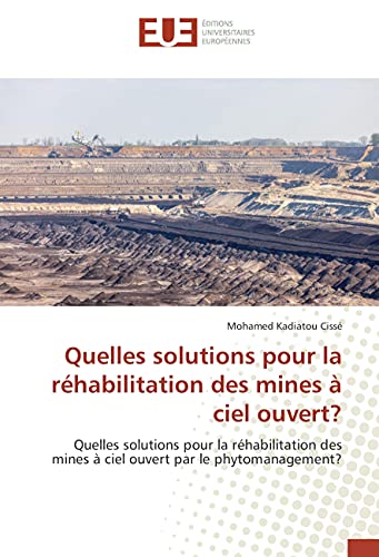 Quelles solutions pour la rehabilitation des mines a ciel ouvert?