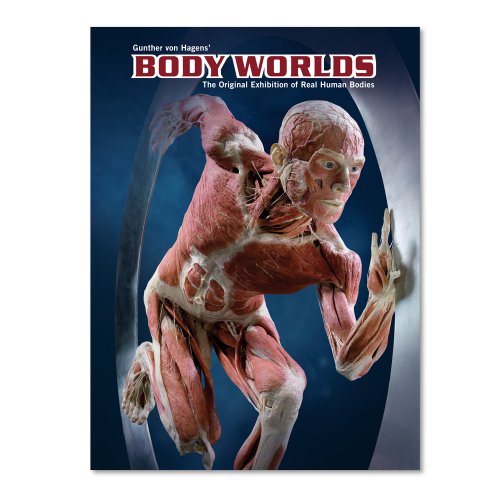 Body Worlds