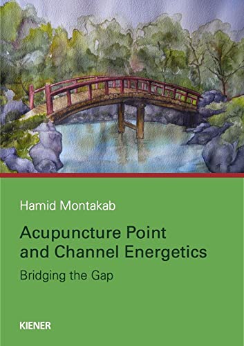 Acupuncture Point and Channel Energetics: Bridging the Gap