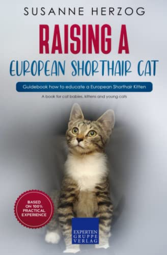 Raising an European Shorthair Cat – Guidebook how to educate an European Shorthair Kitten: A book for cat babies, kittens and young cats