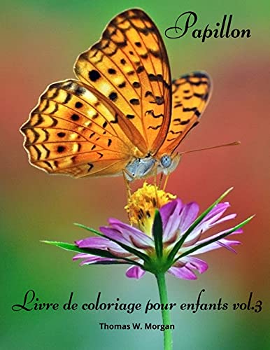 Papillon Livre de coloriage pour enfants vol.3